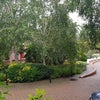 Photo 5: communal garden