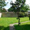 Photo 7: Garden and path to flat 1