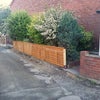 Photo 4: Driveway Towards Parking Area