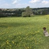 Photo 5: The common behind the cottage