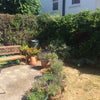 Photo 3: Garden