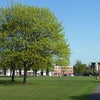 Photo 2: One of the many green spaces in Wanstead (next door to house)