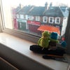 Photo 5: Flatmate moment: watching the sunrise