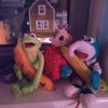 Photo 6: Current flatmates. Beware