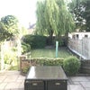 Photo 8: Garden