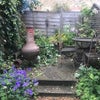 Photo 7: Summer garden preparing for a fire :)