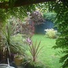 Photo 2: Secluded garden from covered terrace