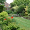 Photo 9: Garden and gardener!