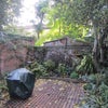 Photo 3: Garden