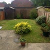 Photo 3: Back garden 