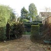 Photo 3: Garden