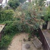 Photo 5: Garden