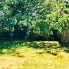 Photo 8: Communal garden