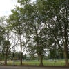 Photo 9: DRAPERS FIELD OPPOSITE THE HOUSE. WALKING THROUGH DRAPERS FIELD WILL LEAD YOU INTO THE OLYMPIC PARK.
