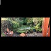 Photo 4: Garden