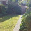 Photo 8: Large garden space