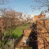 Photo 6: the view from the window