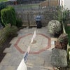Photo 9: Garden