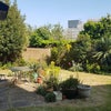 Photo 8: Garden