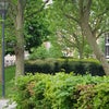 Photo 9: Relaxing green space outside