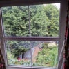 Photo 3: Windows overlooking garden
