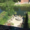 Photo 4: Garden