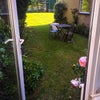 Photo 8: Garden