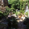Photo 8: The garden