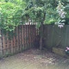 Photo 4: The garden