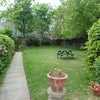 Photo 8: communal Garden