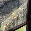 Photo 5: view of town walls from bedroom 