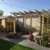 Photo 2: garden