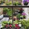 Photo 6: Garden or Patio