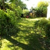Photo 6: Another aspect of garden