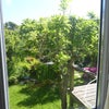 Photo 3: Looking out onto garden
