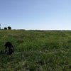 Photo 5: Lovely walks 