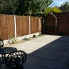 Photo 9: Garden