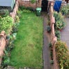 Photo 5: View over garden from above :-) 