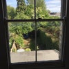 Photo 5: The view from the bedroom window