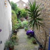 Photo 5: Garden area..