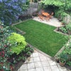 Photo 7: Back Garden