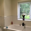 Photo 3: Own Bathroom (with shower)