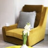Photo 6: Living Room
