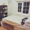 Photo 2: Single room