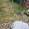 Photo 5: Garden