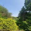 Photo 8: view over the gardens