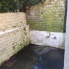 Photo 8: Back Courtyard