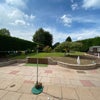 Photo 7: Garden or Patio