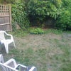 Photo 3: Garden