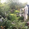 Photo 5: Garden